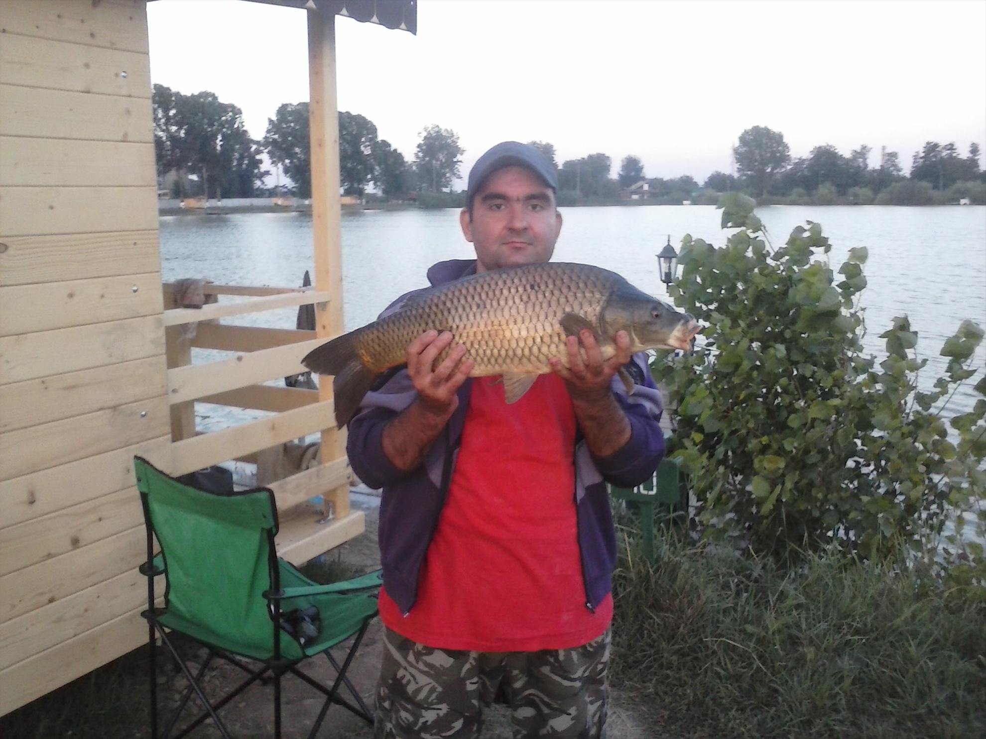 Pleasa 2013 - crap comun 3,8 kg